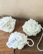 Vela Clavel - Imagen 3